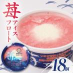 苺アイスフロート18個