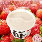苺アイスクリーム12個