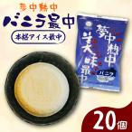 夢中熱中バニラとあずきの最中 110ml×20個