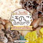 きのこの詰め合わせ Mサイズ 約1.5kg