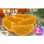 ふるさと納税 愛果28号 みかん 2kg ご家庭用 傷あり レッスルファーム 愛媛 【2025年12月中旬順次発送】 先行予約 数量限定 おすすめ 美味しい .. 愛媛県伊予市