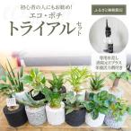 S060-111_ 初心者の人にもお勧め