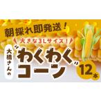 大橋農園のトウモロコシ わくわくコーン 12本