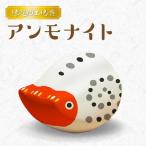 S093-026_縁起物土玩具 アンモナイト