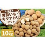 じゃがいも 男爵 キタアカリ Lサイズ 各約5kg×1箱 計約10kg