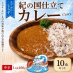 紀の国仕立てカレー 10個セット B1018-1