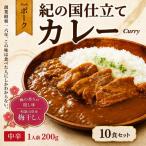 紀の国仕立てカレー 10個セット B1020-1