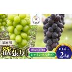 ショッピングふるさと納税 シャインマスカット ふるさと納税 2026年先行受付【おがわら農園】家庭用欲張りセット！（シャインマスカット2〜3房・種無し巨峰2〜3房）約1.8〜2kg※2026年9月上旬.. 長野県東御市