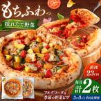 ピザ 2枚セット マルゲリータ 季節の野菜ピザ