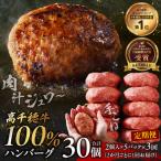 高千穂牛100%ハンバーグ定期便 2か月ごとに1回お届け