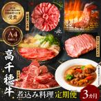 高千穂牛煮込み料理3か月定期便 高千穂牛