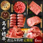高千穂牛煮込み料理6か月定期便 高千穂牛