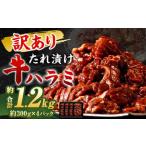 秘伝 コク旨 たれ漬け 牛ハラミ肉 1.2kg
