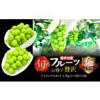 ショッピングふるさと納税 定期便 ふるさと納税 【定期便】【2026年発送★先行予約】お得で贅沢2回定期便シャインマスカット1.5kg  227-017-01-26y 山梨県笛吹市
