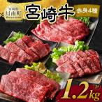 宮崎牛 赤身 4種