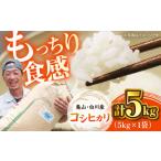 おいしい 亀山 白川産コシヒカリ 5kg