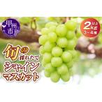 ふるさと納税 旬の採れたて大粒シャインマスカット2.0kg以上(3房〜4房)【2026年発送】(HO)B18-401 【シャインマスカット 葡萄 ぶどう ブドウ.. 山梨県甲州市