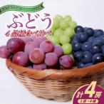 ぶどう おまかせ 4品種 食べ比べ シャインマスカット