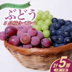 ぶどう おまかせ 5品種 食べ比べ シャインマスカット
