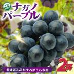 ナガノパープル2房 県内共通返礼品:かすみがうら市産