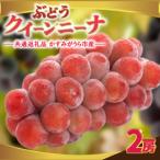 クインニーナ 2房 県内共通返礼品:かすみがうら市産