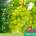 旬なぶどう おまかせ 食べ比べ 700g