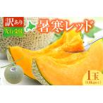 ふるさと納税 【訳あり】北海道メロン 暑寒レッド 1玉 (1.6kg以上×1箱)2026年9月発送ワケあり 家庭用 赤肉メロン わけあり 規格外 傷 不揃.. 北海道雨竜町