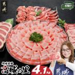 高城の里 わくわく4.1kgセット 真空