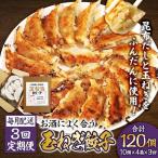 お酒によく合う玉ねぎ餃子 40個