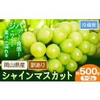 シャインマスカット訳あり約500g