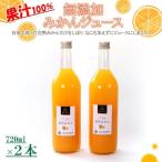 無添加 みかんジュース 720ml×2本