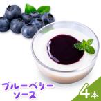 ブルーベリー ソース 170g