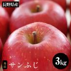 りんご サンふじ 約3kg