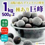 冷凍 種あり 巨峰 約1kg