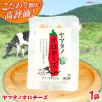 チーズ ヤマタノオロチーズ 40g