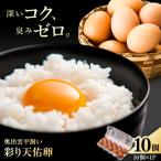 平飼い卵 10個入り