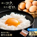 彩り天佑卵 10個入り