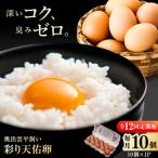 彩り天佑卵 10個入り