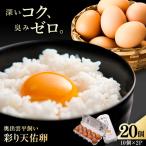 卵 彩り天佑卵 20個入り