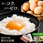 平飼いたまご 彩り天佑卵 20個