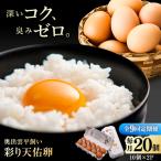 彩り天佑卵 20個入り