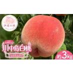 ふるさと納税 【2026年出荷分先行予約】福島県産 川中島白桃 約3kg (8〜12玉) 小野農園 3代目の女性の農家が作る桃 伊達の桃 桃 フルーツ 果物 .. 福島県伊達市