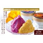 ふるさと納税 養本社のマンゴー・ドラゴンフルーツジェラートセット 2種×各3個 お菓子 岐阜県瑞穂市