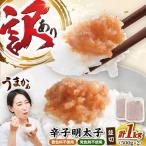 辛子明太子並切 500g×2個セット