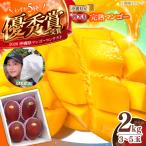 マンゴー 2kg