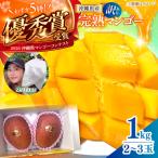 マンゴー 訳あり 約1kg