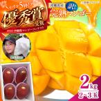 マンゴー 訳あり 2kg