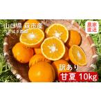 みかん 甘夏 10kg