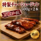 特製 万能ソース 500g×2本