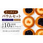 バウムクーヘン 米粉100%使用 チーズ&ブルーベリーバウムセ…